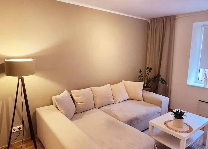 아파트 Korter Vanalinna Laehistel