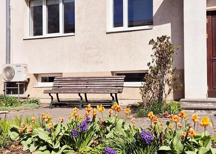 Korter Vanalinna Laehistel 합살루